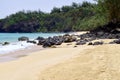 Secret Beach, Kauapea, Kauai, Hawaii, USA