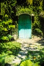 Secret Door To The Magic Garden. Old blue wooden door overgrown with ivy Royalty Free Stock Photo