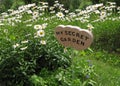 Secret garden Royalty Free Stock Photo
