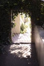 Secret garden gate. Surrounded by ivy.