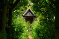 A secret green lane in a garden