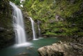Secret Hawaiian waterfall deep in the Jungles of Maui