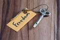 Secret key for a free life Royalty Free Stock Photo