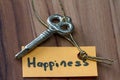 Secret key for a happy life Royalty Free Stock Photo