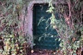 Secret metal camouflaged door in  fence. secret door in mysterious forest Royalty Free Stock Photo