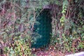 Secret metal camouflaged door in  fence. secret door in mysterious forest Royalty Free Stock Photo