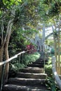 Secret Path in Garden With Steps and Wooden Rail Branch and Stonework Royalty Free Stock Photo