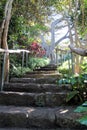 Secret Path in Garden With Steps and Wooden Rail Branch and Stonework Royalty Free Stock Photo