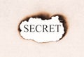 Secret revealed word text Royalty Free Stock Photo