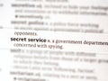 secret service