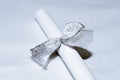 Secret to Silver Ribbon Royalty Free Stock Photo