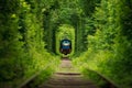 Secret train 'tunnel of love' in ukraine Royalty Free Stock Photo