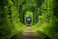 Secret train 'tunnel of love' in ukraine. Summer Royalty Free Stock Photo