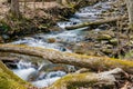 Secret Trout Stream in the Blue Ridge Mountains Royalty Free Stock Photo