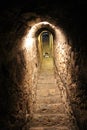 Secret tunnel in Bran castle, near Brasov Royalty Free Stock Photo