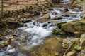 Secret Wild Trout Stream in the Blue Ridge Mountains Royalty Free Stock Photo