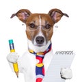 Secretary dog Royalty Free Stock Photo