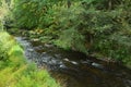 A stretch of the Alsea River near Alsea, Oregon Royalty Free Stock Photo