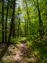 Appalachian Trail, Hiking Path Through Lush Green Forest Royalty Free Stock Photo