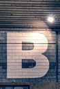 Section B. Letter B sign painted in sport hall for orientation