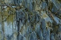 Section of the cliff of cracker closeup, background Royalty Free Stock Photo