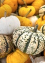 Section of colourful squash Royalty Free Stock Photo