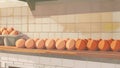 A section of the counter filled with freerange eggs freshly laid by hens raised on a nearby farm