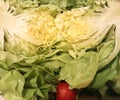 Section of green head salad and red radish Royalty Free Stock Photo