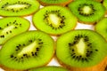 Section of kivi fruit Royalty Free Stock Photo
