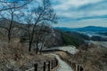 Section of mountain forest wall Royalty Free Stock Photo