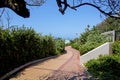 Section of Paved and Patterned Vegetation Lined Beach Walkway