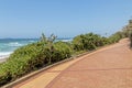 Section of Paved and Patterned Vegetation Lined Beach Walkway