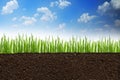 Section or profile of natural soil with green grass under the clear blue sky Royalty Free Stock Photo