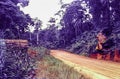 A section of the road between Bibiani and Dunkwa in Ghana, c.1959 Royalty Free Stock Photo