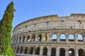 Section of, Roman Colosseum, against a clear, blue sky, in April Royalty Free Stock Photo