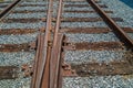 Abandoned railroad tracks Royalty Free Stock Photo