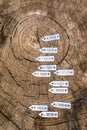 Section of secular tree trunk with year labels Royalty Free Stock Photo