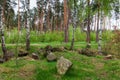 Section of spring rare mixed forest with scattered stones