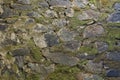 Stone wall surface with green moss, background Royalty Free Stock Photo