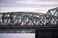 Section structure arch bridge with truck and flock of birds