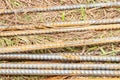 Section of ten metal, rusting rebars, on the ground