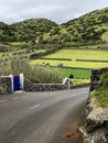 Road and Pastures on Terceira Island in the Azores