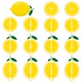 Sections of cut lemon