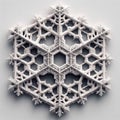 Sectored Plate Hexagonal snowflakes with branch like structurs Royalty Free Stock Photo