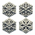 Sectored Plate Hexagonal snowflakes with branch like structurs