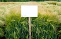 sectors demo plots with pointers, new varieties of winter barley