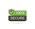 100 Secure button. Badge for commerce website. Modern vector illustration flat style