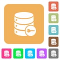 Secure database rounded square flat icons Royalty Free Stock Photo