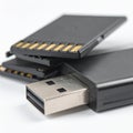 Secure Digital Data Storage - USB Drive and SD Cards Royalty Free Stock Photo