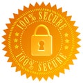 Secure icon